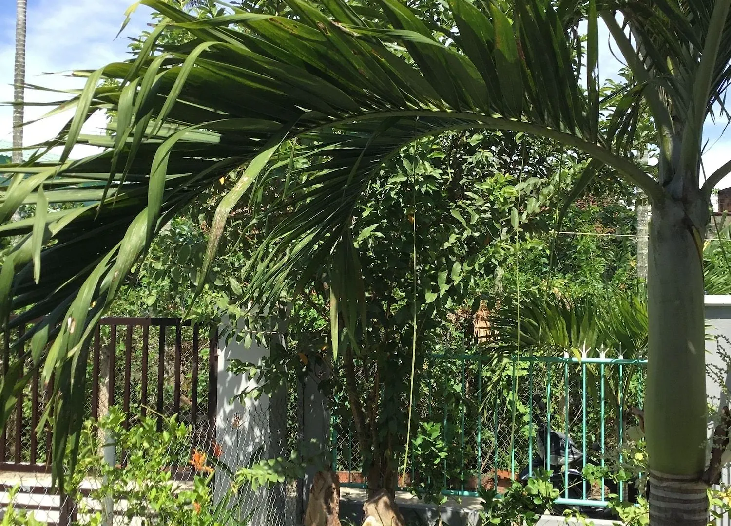 Vinh Trinh Villa Hoi An